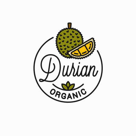 Durian fruit. Round linear of durian sliceのイラスト素材