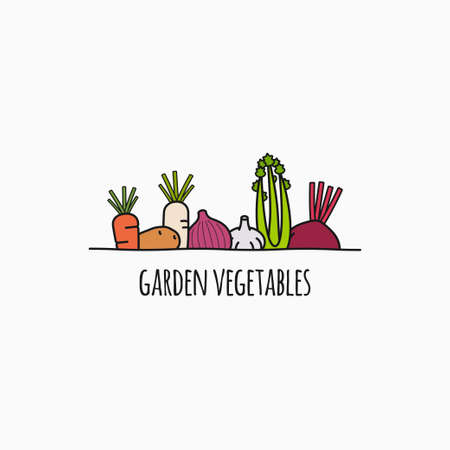 Vegetable linear  . Garden vegetables on whiteのイラスト素材