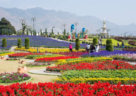 this is a photo of colourful garden at khao yai thailand の写真素材