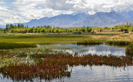 Landscape of countryside  in northern Indiaの写真素材
