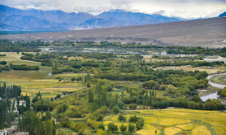 this is a photo of field landscape with mountain background ,northern Indiaの写真素材