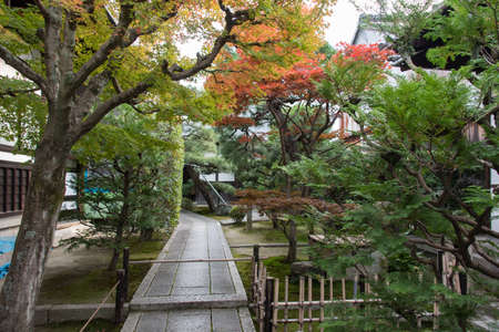 this is a photo of  Japanese temple located in valley with colorful leaves in autumnの写真素材