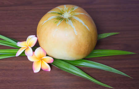 one whole cantaloupe melons on a white backgroundの写真素材
