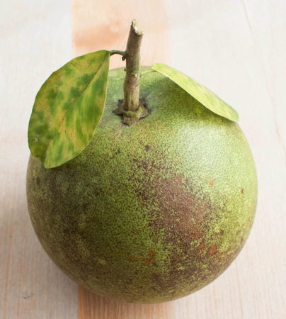 Green grapefruit on the table