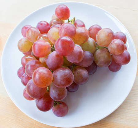Red grape in white plateの写真素材