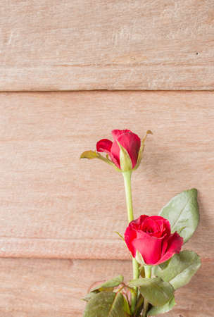 Red roses on old wood backgroundの写真素材