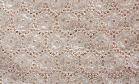 background of embroidered fabrics, decorative lace