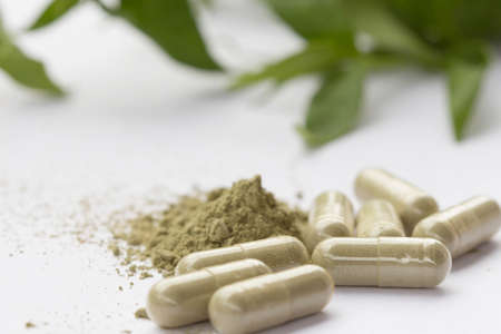 Herbal medicine capsule on a white backgroundの写真素材