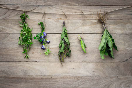 Herbs hanging on a wooden floorの写真素材