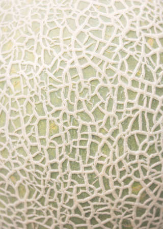 Close-up melon background texture.の写真素材