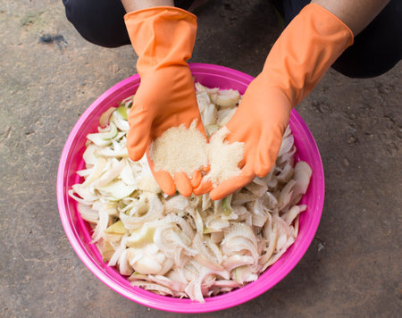 Sliced banana for livestock to reduce costs.の写真素材
