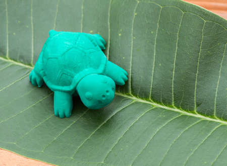 Turtles toys made of rubberの写真素材