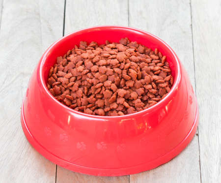 food cat in red cup on a wooden floor.の写真素材