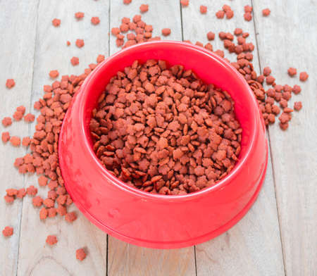 food cat in red cup on a wooden floor.の写真素材