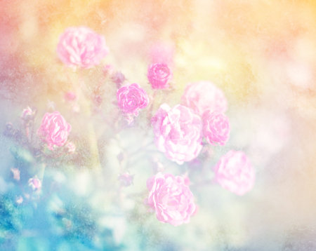 Colourful fantasy Ice with Rose soft pink blur background.