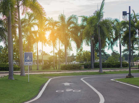 road bikes in the parkの写真素材