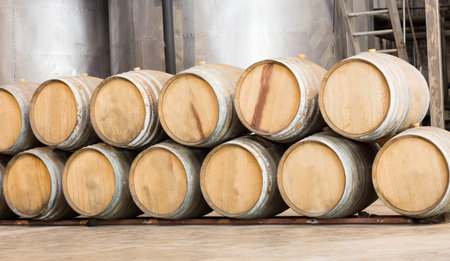 Wine barrels in the wine cellar.