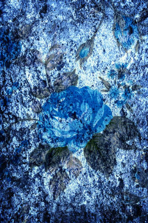 Blue rose fabric on old blue cement wall for grunge backgroundの写真素材