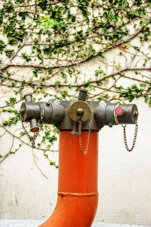 Fire Hydrantsの写真素材