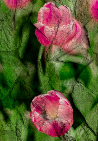 stone wall texture and backgroundの写真素材
