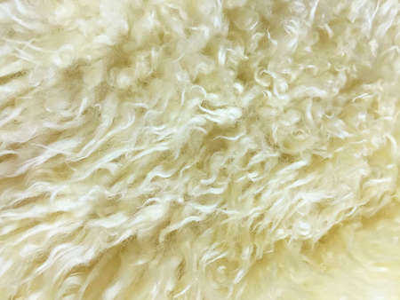 Sheepskin backgroundの写真素材