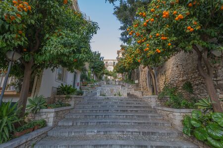 Orange trees in Taormina, Sicily, Italyの写真素材