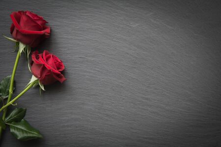 Red roses on slate background with space for textの写真素材