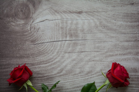 Red roses on background with space for textの写真素材