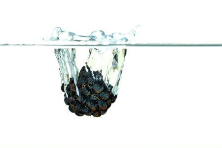 Black Blackberry falling into water with a splashの写真素材