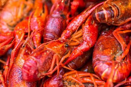 tasty fried crabsの写真素材