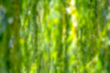 Background green dark abstract patternの写真素材