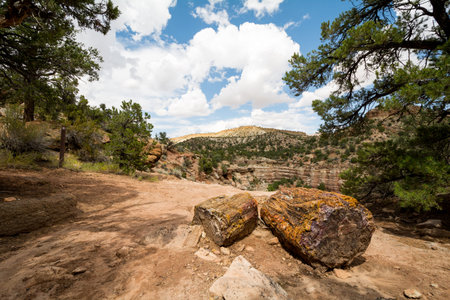 Capitol Reef National Parkの写真素材