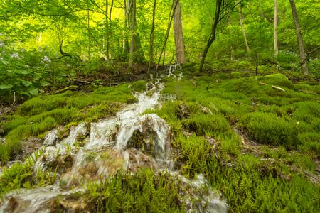 Uracher Waterfalls, Bad Urach, Germany on a cloudy dayの写真素材