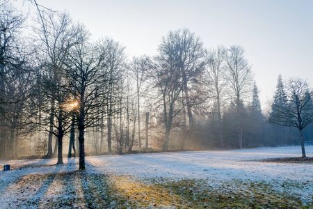 Park area with tree in front of Castle Solitude in Stuttgart in Gemany, Winterのeditorial素材