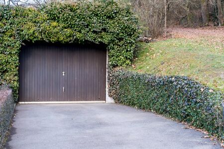 Door of a garage sourrounded with ivyの写真素材