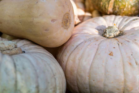 Borough Market, Londonの写真素材