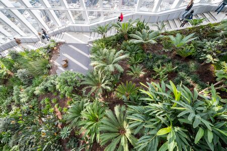 Sky Garden, London Cityのeditorial素材