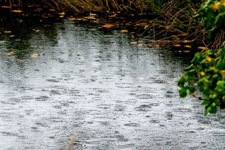 Natural reserve Schoenbuch forrest, Germanyの写真素材