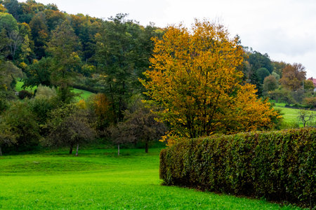 Schoenbuch natural reserve, Germanyの写真素材