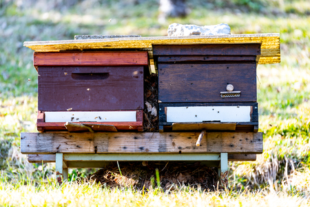 beehive outside on a madowの写真素材