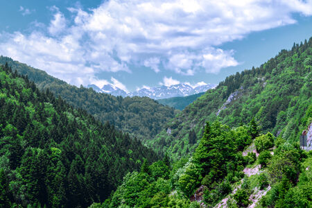 View of the forest and the beautiful mountain hills in Mavrovoの写真素材