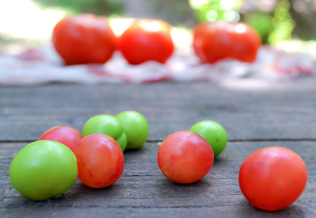Ecological fruits from intact nature placed on wooden tableの写真素材