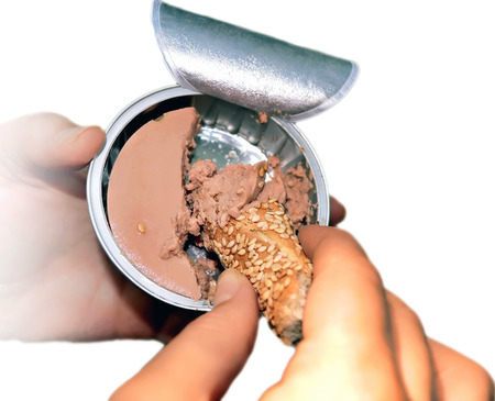 Tin pate isolated on white backgroundの写真素材