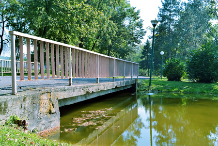Sunny day and autumnal scene in the city parkの写真素材