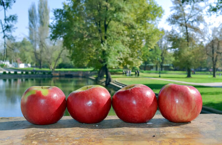 Four apples in horizontal position in the orchardの写真素材