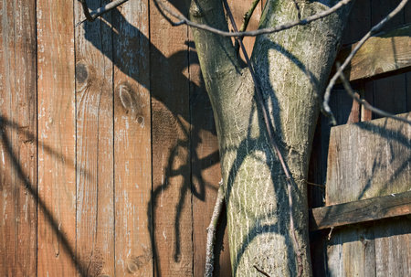 Composition with variants of wood for background