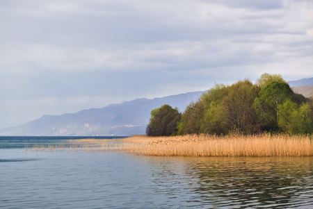 Lake and dry yellow reed in a cloudy autumn dayの写真素材