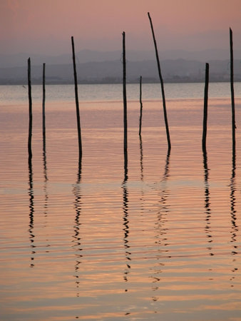 Atardecer en el lago de la Albufera (Valencia)の写真素材