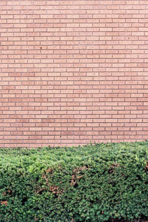 Grungy brick wall textureの写真素材