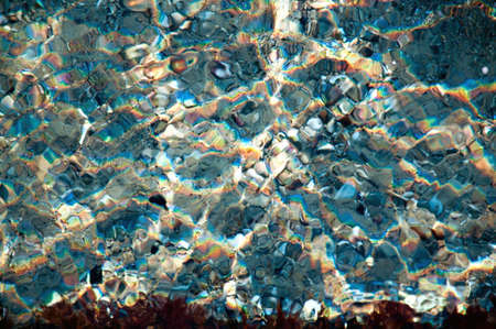 aqua background - stones shells and sand on the sea bed, ripples, sunbeams, and algae の写真素材